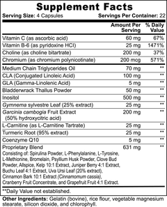 Super Fat Burning Supplement with MCT Oil - Burn Fat Fast